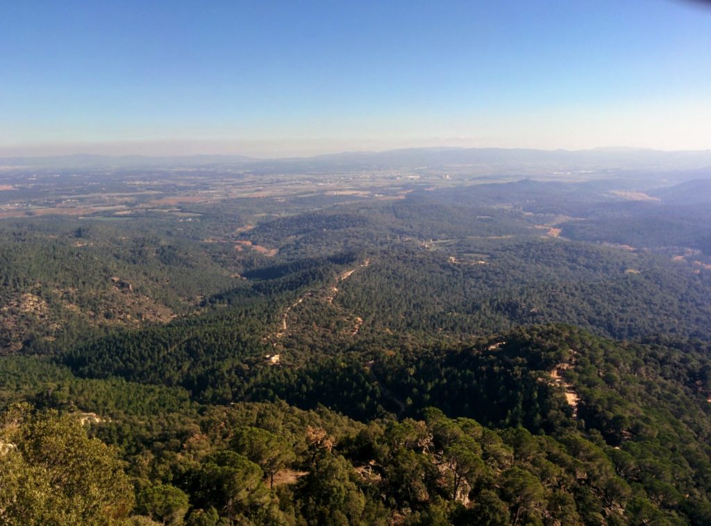 naturaleza can micos